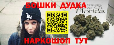 сатива Моздок
