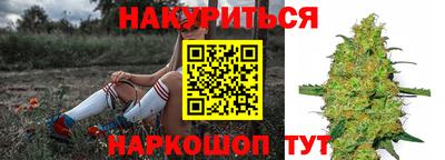 индика Можайск
