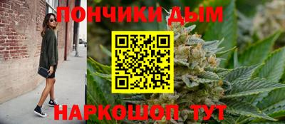 сатива Моздок