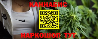 сатива Моздок